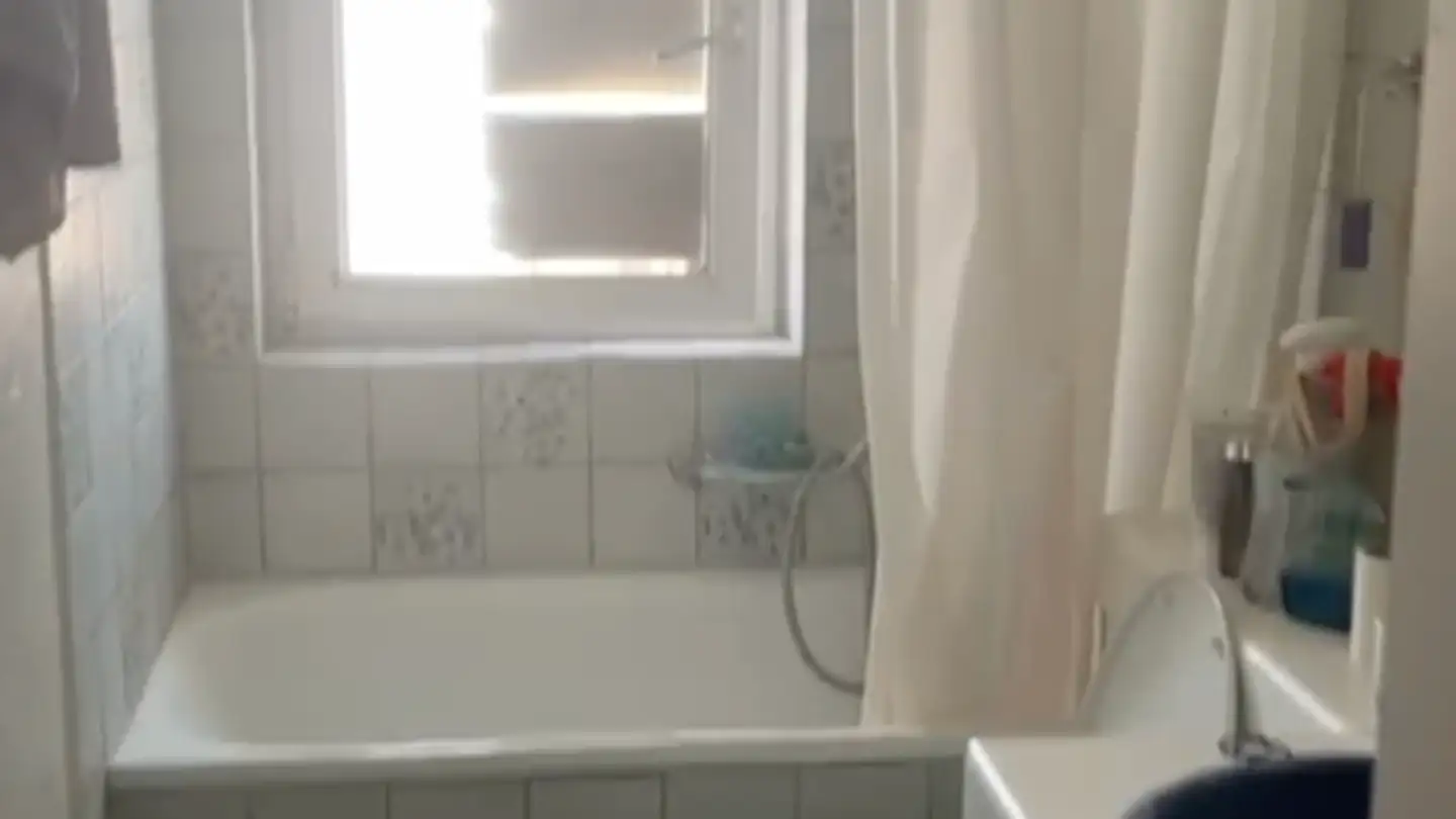 Apartment for rent - Luegislandstrasse 59, 8051 Zürich - Photo 3