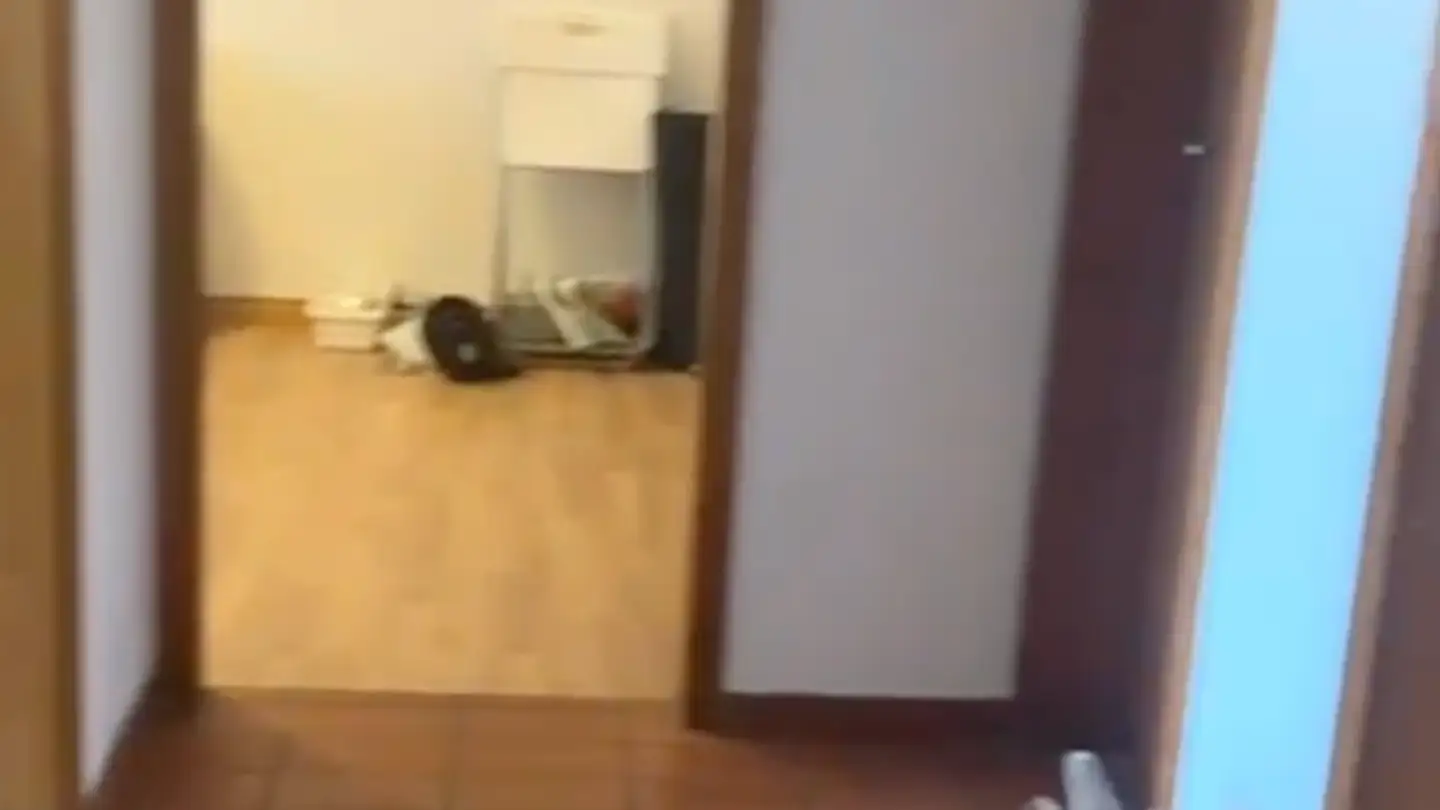 Apartment for rent - Luegislandstrasse 59, 8051 Zürich - Photo 4