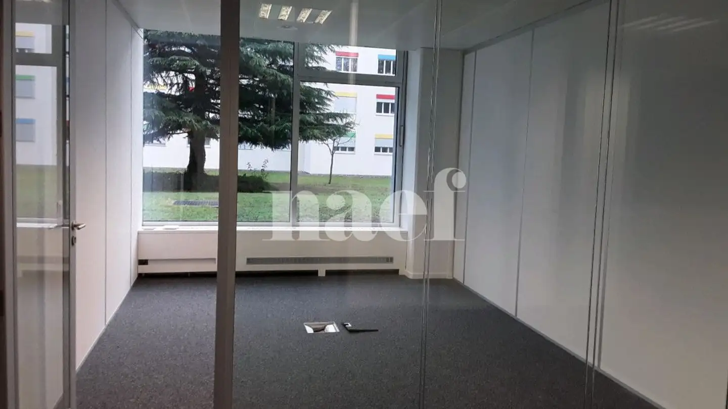 Bureau à louer - Chemin Ami- Argand 9, 1290 Versoix - Photo 3