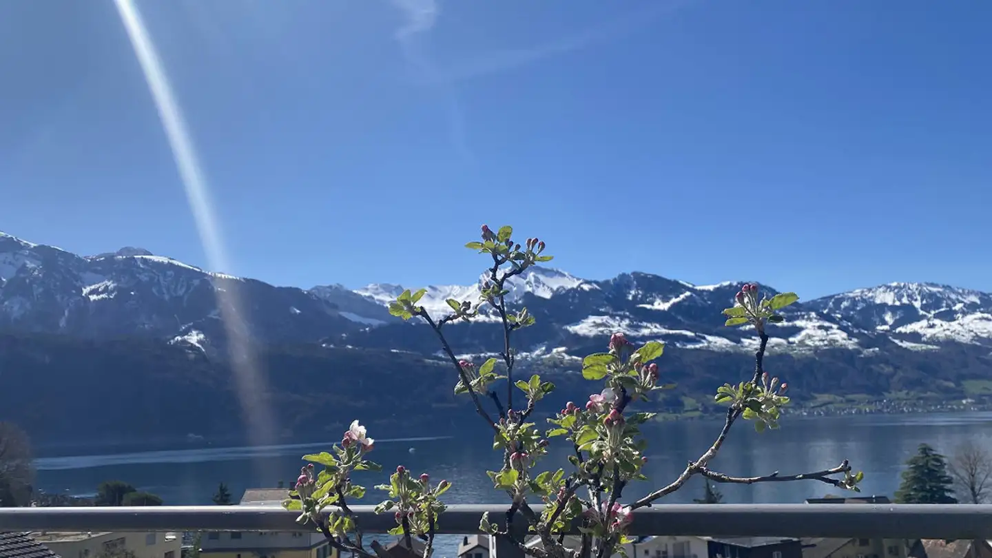 Penthouse mieten - Wyssgerbistrasse 11, 6442 Gersau