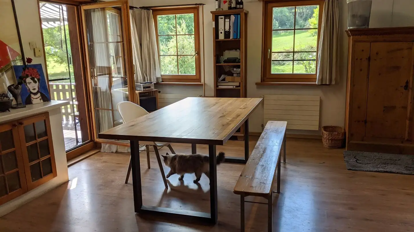 Negozio in vendita - 8193 Eglisau - Foto 4