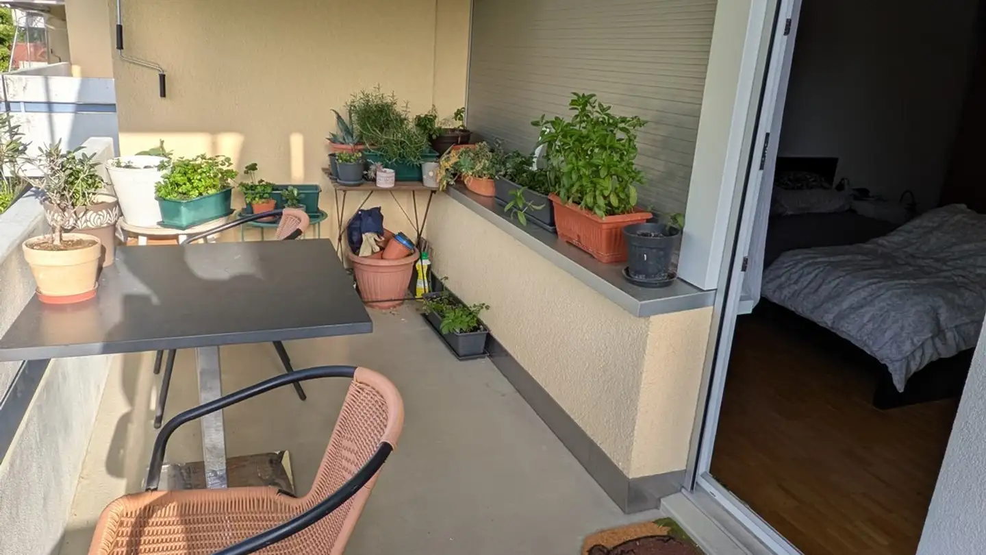 Wohnung mieten - Sihlweidstrasse 14, 8041 Zürich - Foto 4