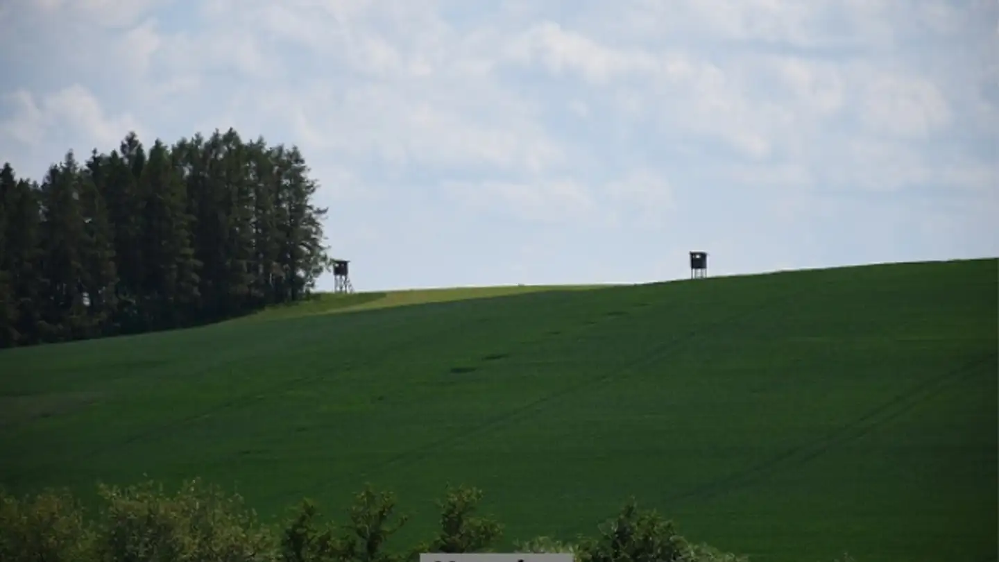 Immobile in vendita - I Rünch, 6678 Lodano