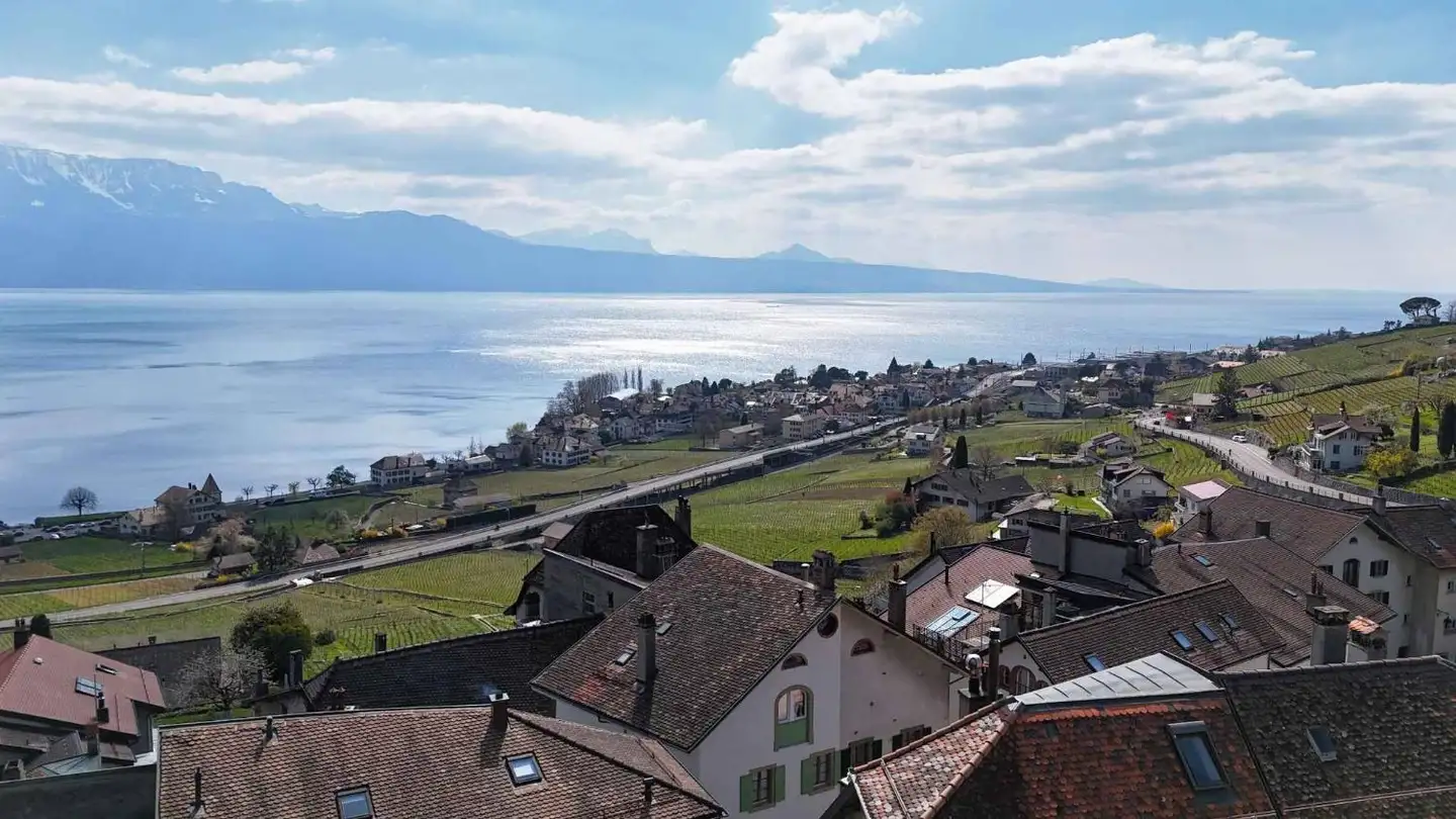 Maison individuelle à vendre - 1097 Riex
