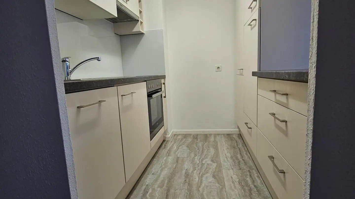 Duplex in affitto - Plattenhalde 23, 8200 Schaffhausen - Photo 2