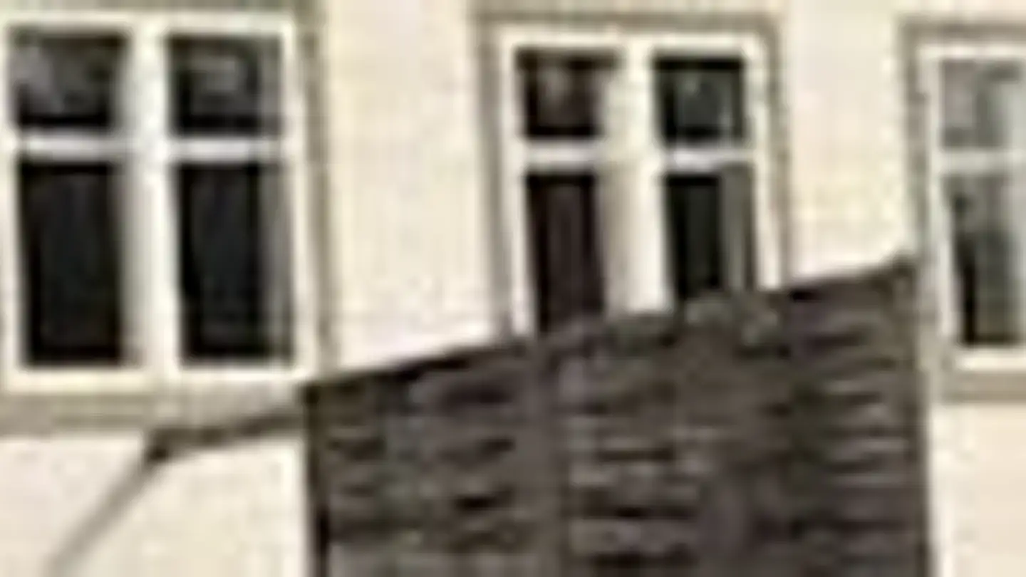 Single room for rent - Wildsbergstrasse 37, 8606 Greifensee