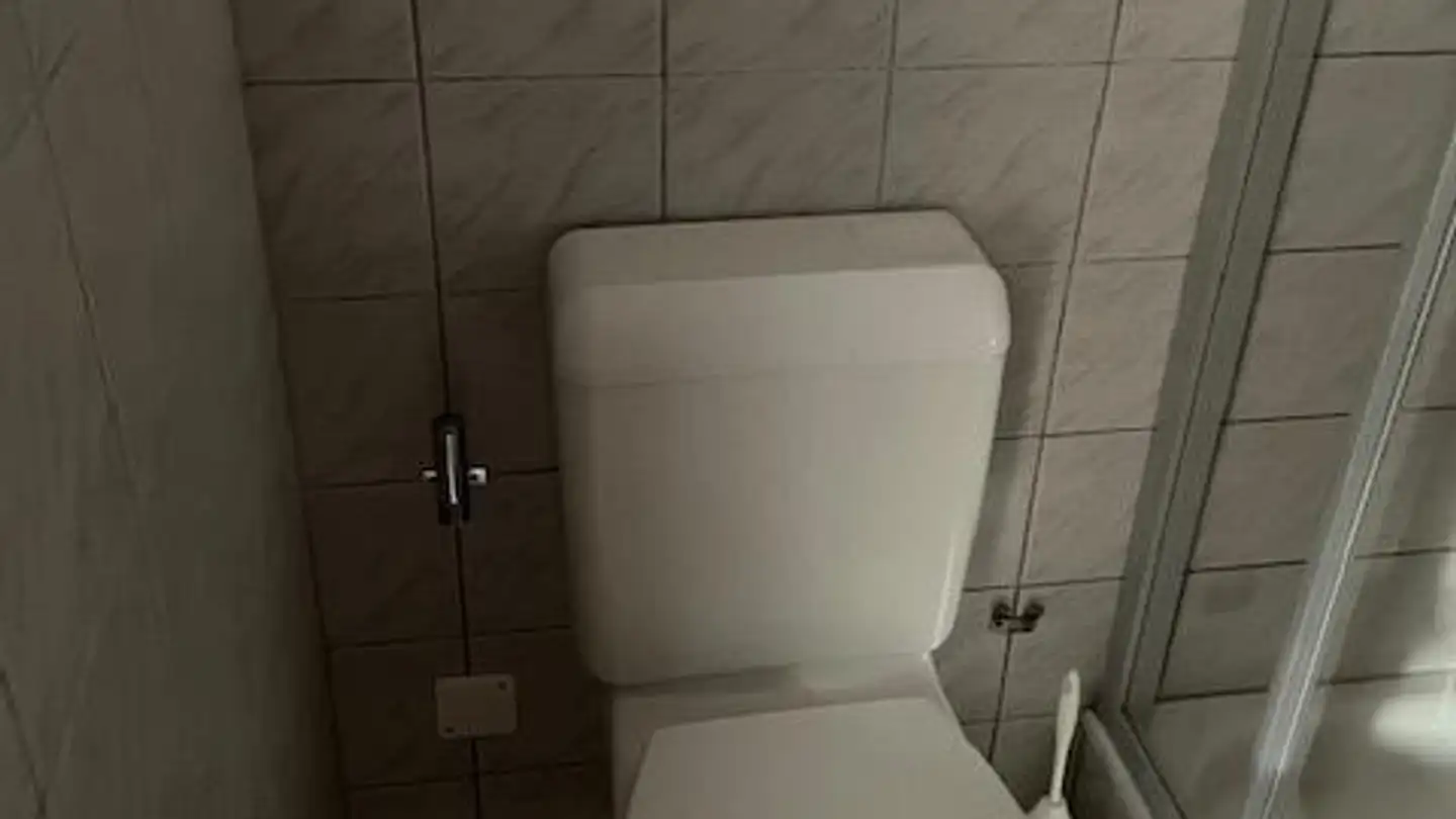 Appartamento in affitto - Lindenwis 5, 9100 Herisau - Foto 2