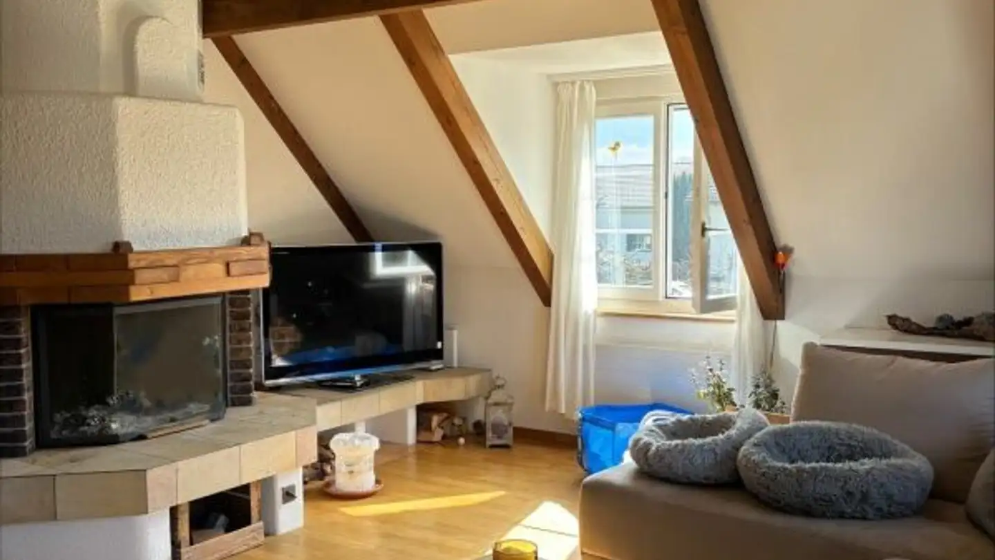 Appartement à louer - Horbenstrasse 3, 8356 Ettenhausen TG - Photo 3