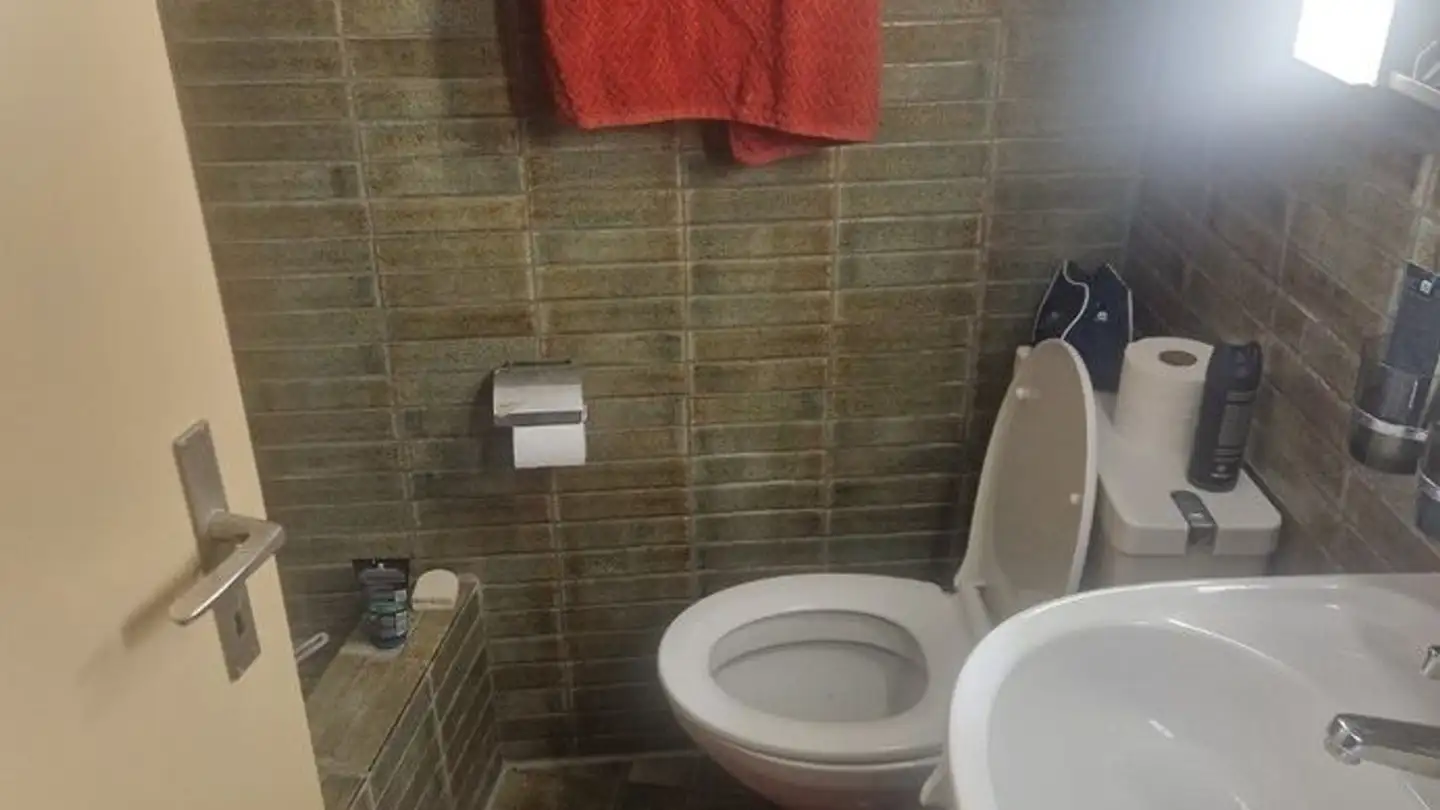 Chambre à louer - Kesslernmattstrasse 14, 8965 Berikon - Photo 4