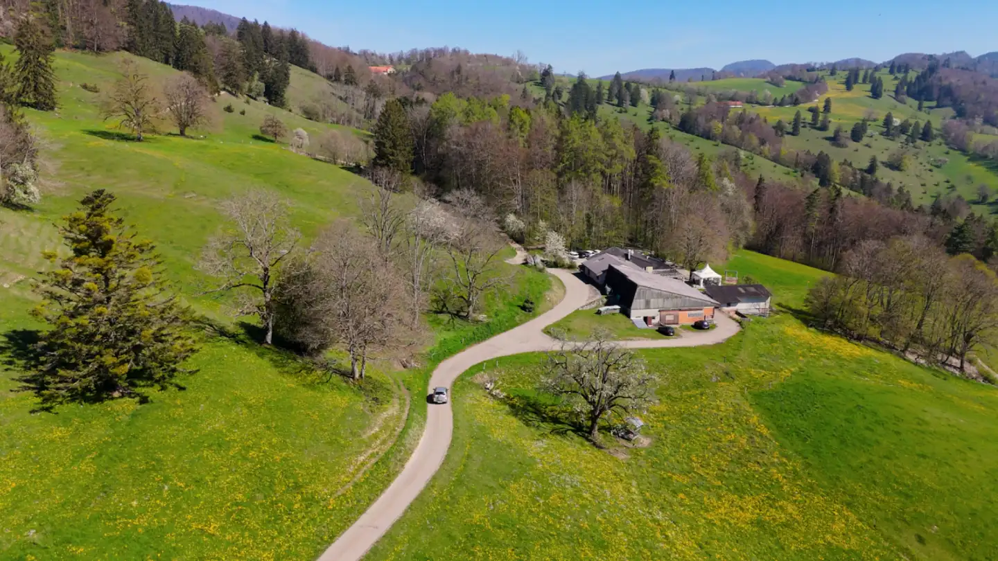 Fattoria in vendita - Alpstrasse 391, 4625 Oberbuchsiten