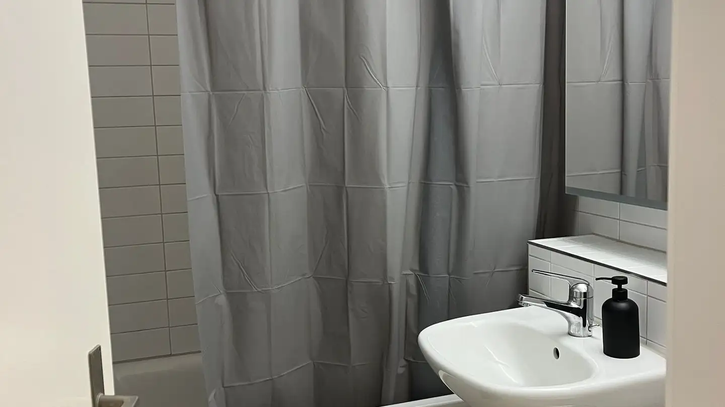 Apartment for rent - Militärstrasse 105, 8004 Zürich - Photo 4