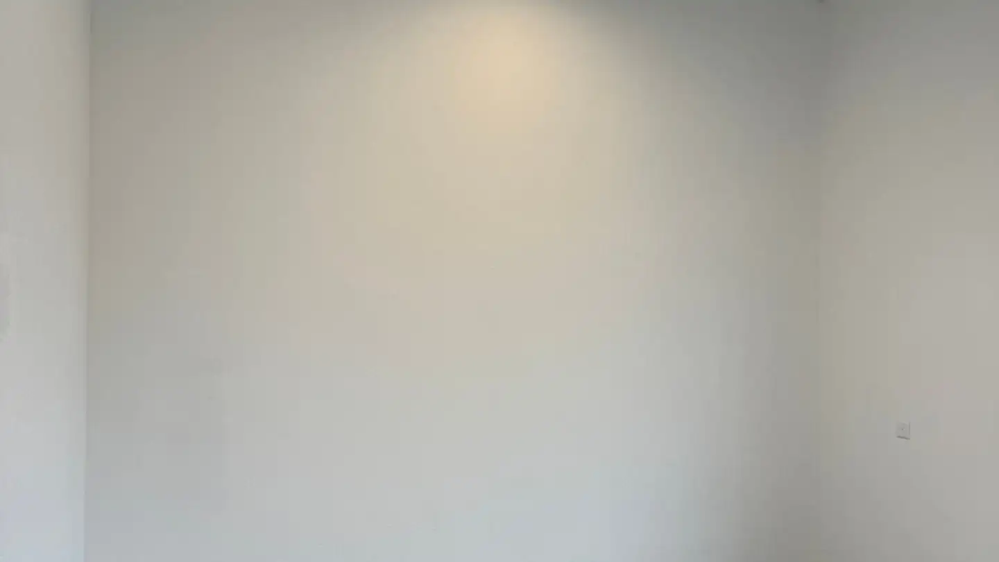 Commerciale in affitto - Route Industrielle 41, 1897 Bouveret - Foto 4