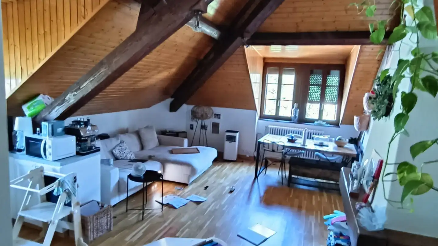 Wohnung mieten - Chemin De Pinchat, 1227 Carouge GE - Foto 4