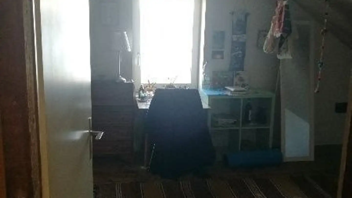 Single room for rent - Rutenenstrasse 6, 8820 Wädenswil