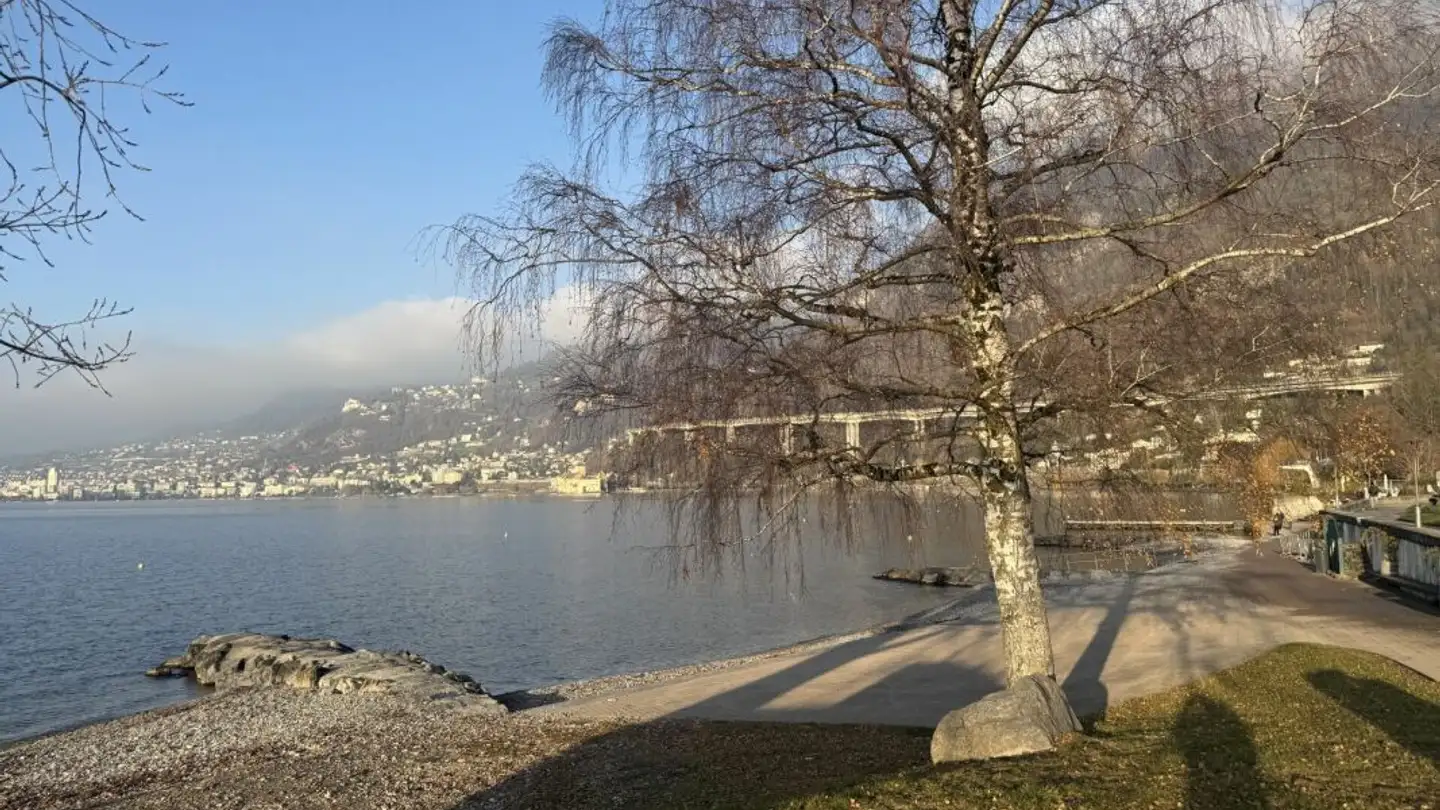 Apartment for sale - Rue De La Plage, 1844 Villeneuve VD - Photo 2