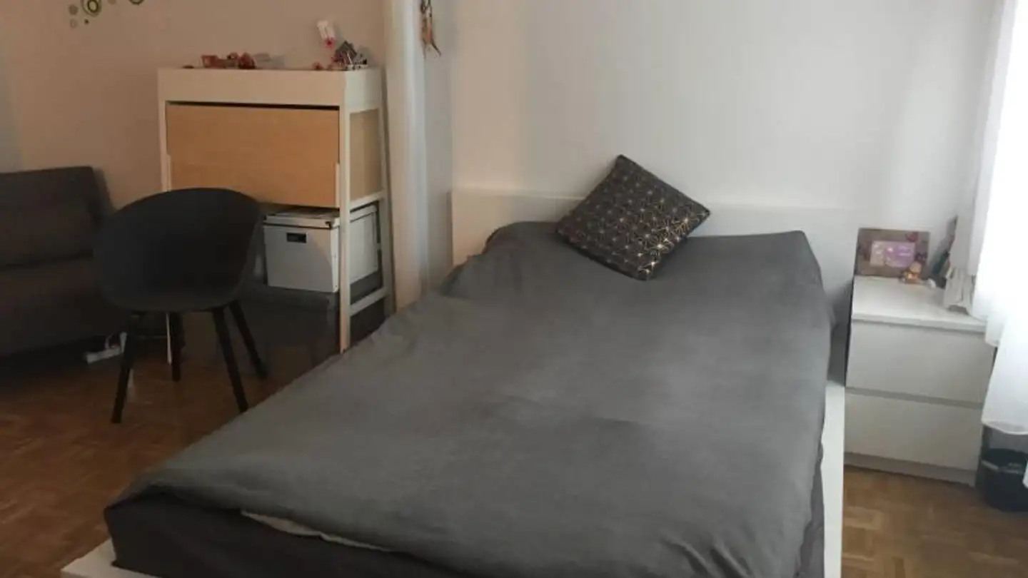 Appartement à louer - Grünhaldenstrasse 31, 8052 Zürich - Photo 2