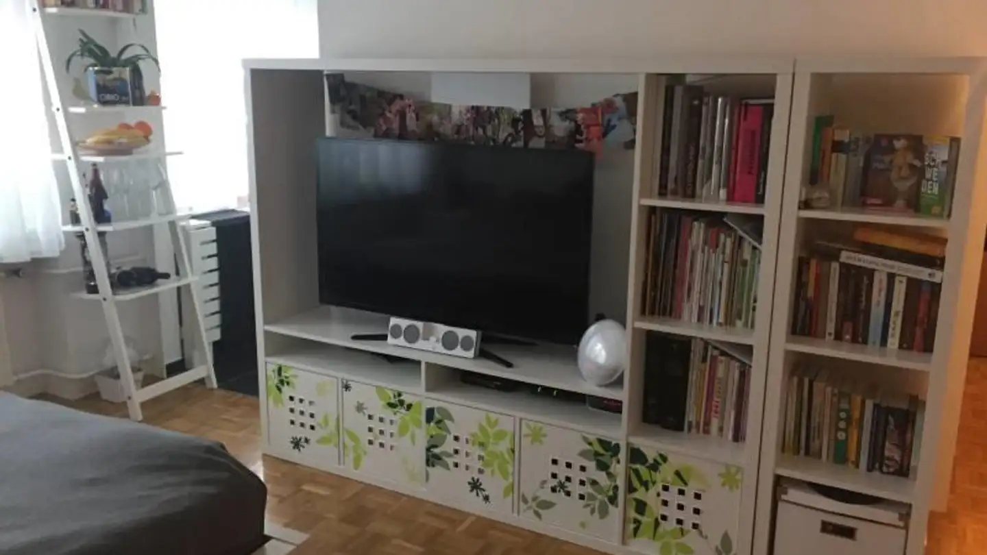 Appartement à louer - Grünhaldenstrasse 31, 8052 Zürich - Photo 3