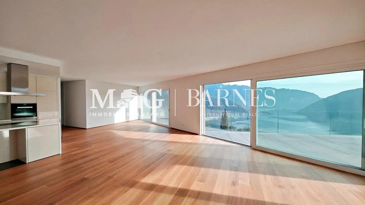 Penthouse for sale - 6914 Carona - Photo 3