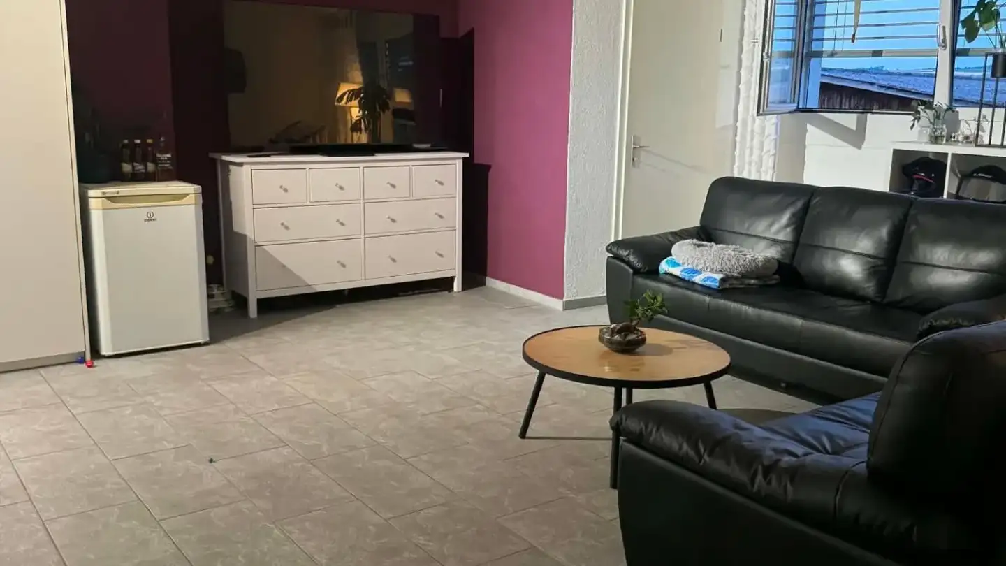Appartamento in affitto - Aarauerstrasse 56, 5712 Beinwil am See