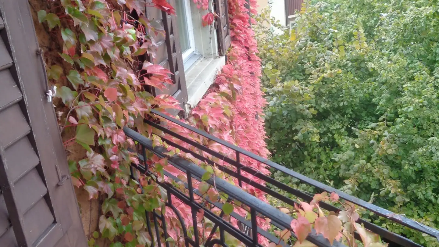 Single room for rent - 8037 Zürich - Photo 3