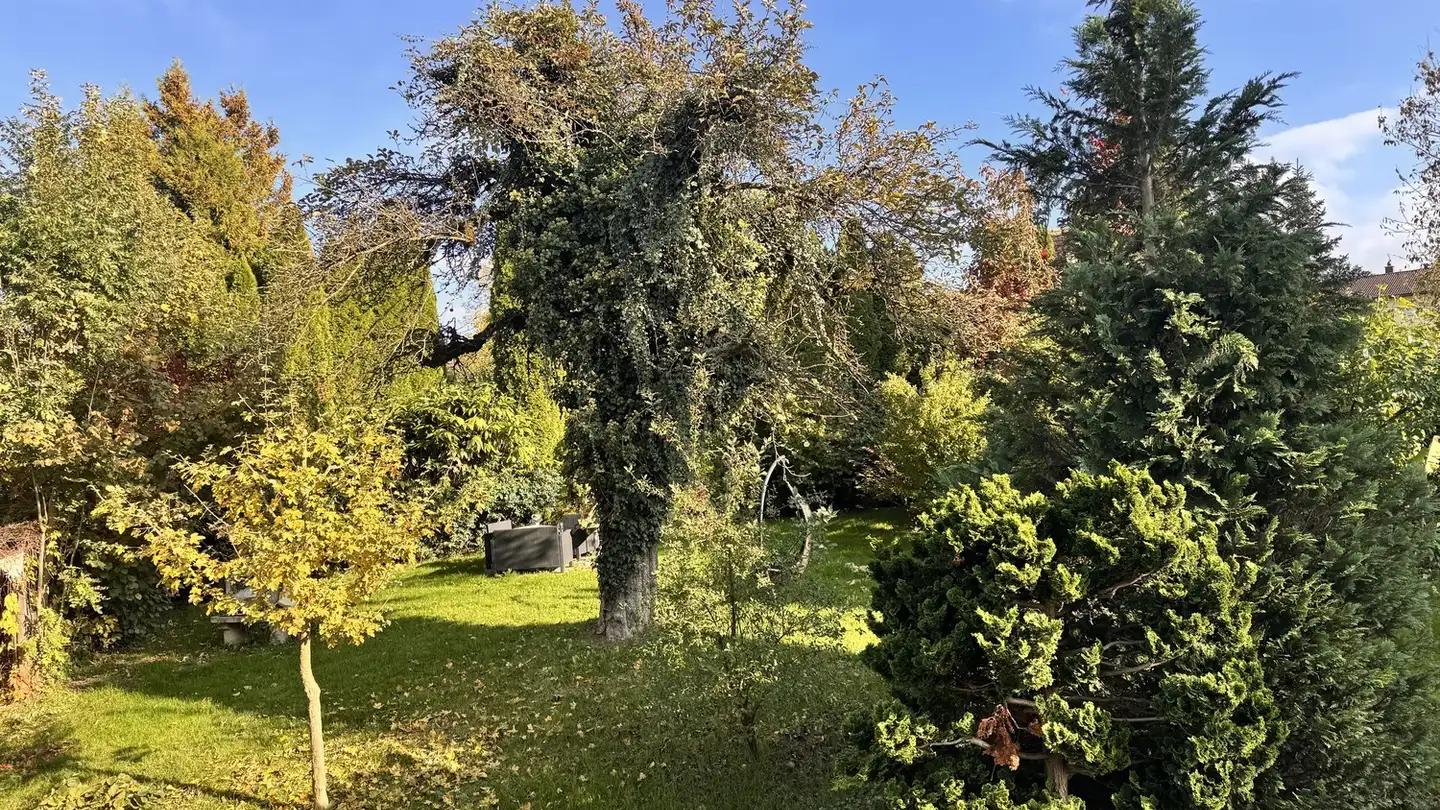 Appartamento in affitto - Hauptstrasse 97, 5737 Menziken - Photo 2