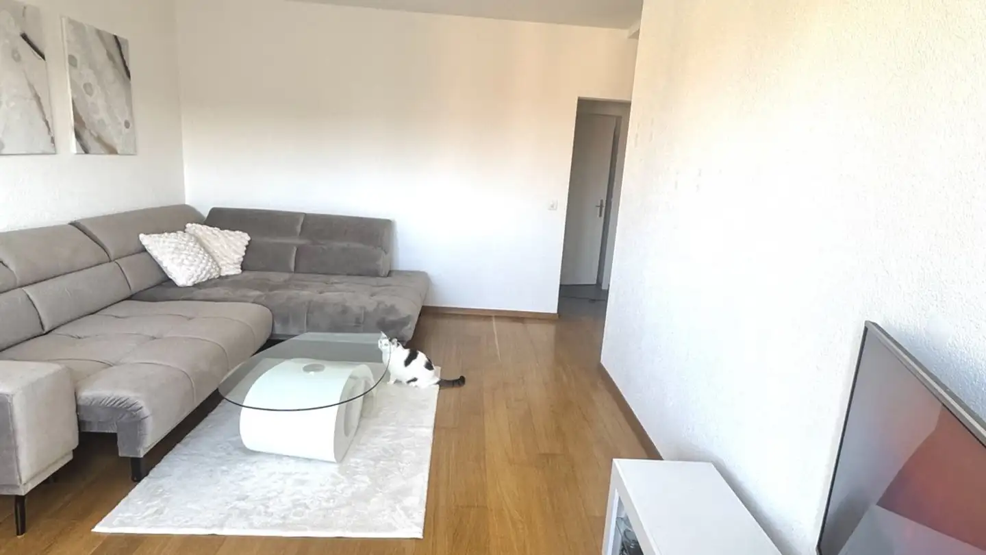 Appartamento in affitto - 3013 Bern - Foto 3