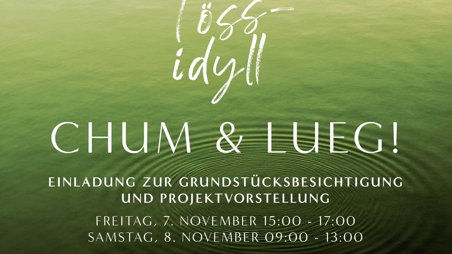 Apartment for sale - Tössstrasse, 8413 Neftenbach