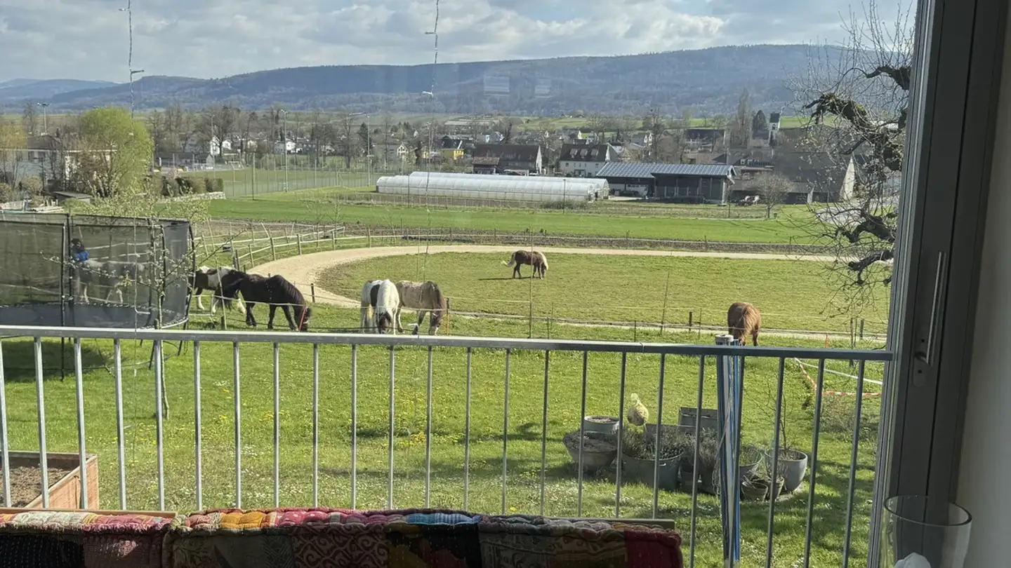 Maison individuelle à louer - Bammertackerweg 6, 4105 Biel-Benken BL - Photo 2
