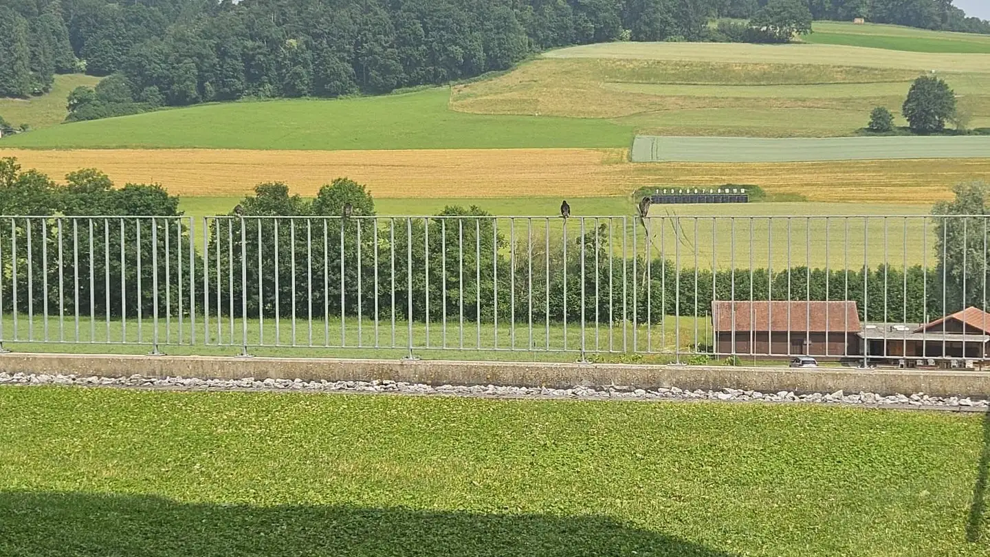 Appartement en terrasse à louer - 1782 Belfaux - Photo 2