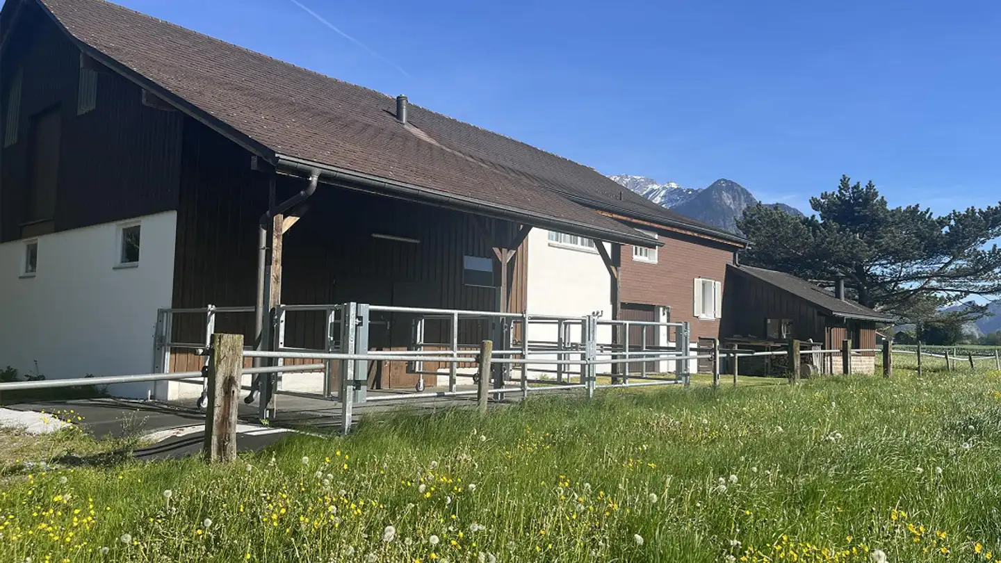 Maison individuelle à louer - 9475 Sevelen