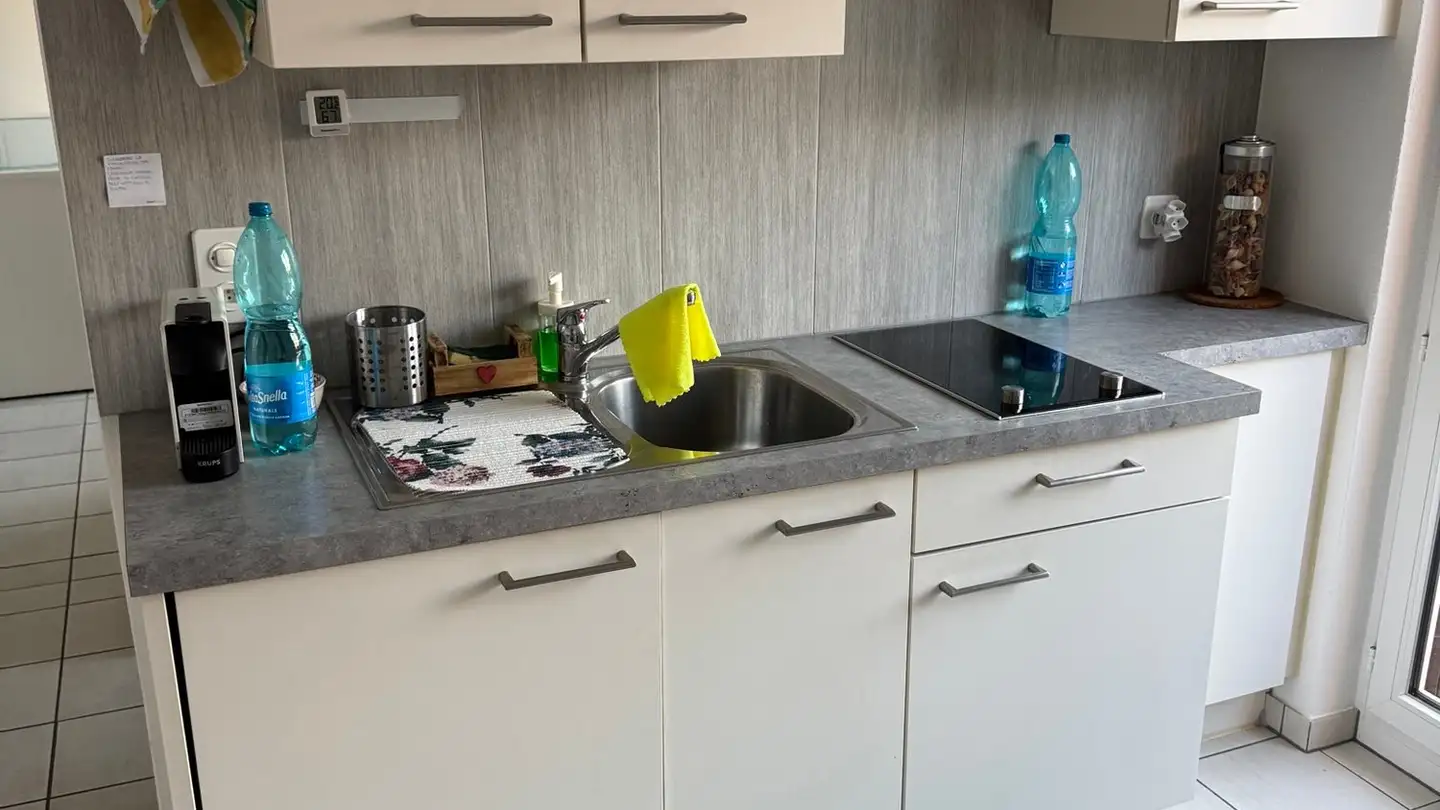 Appartamento in affitto - Riva Paradiso, 6900 Paradiso - Foto 2