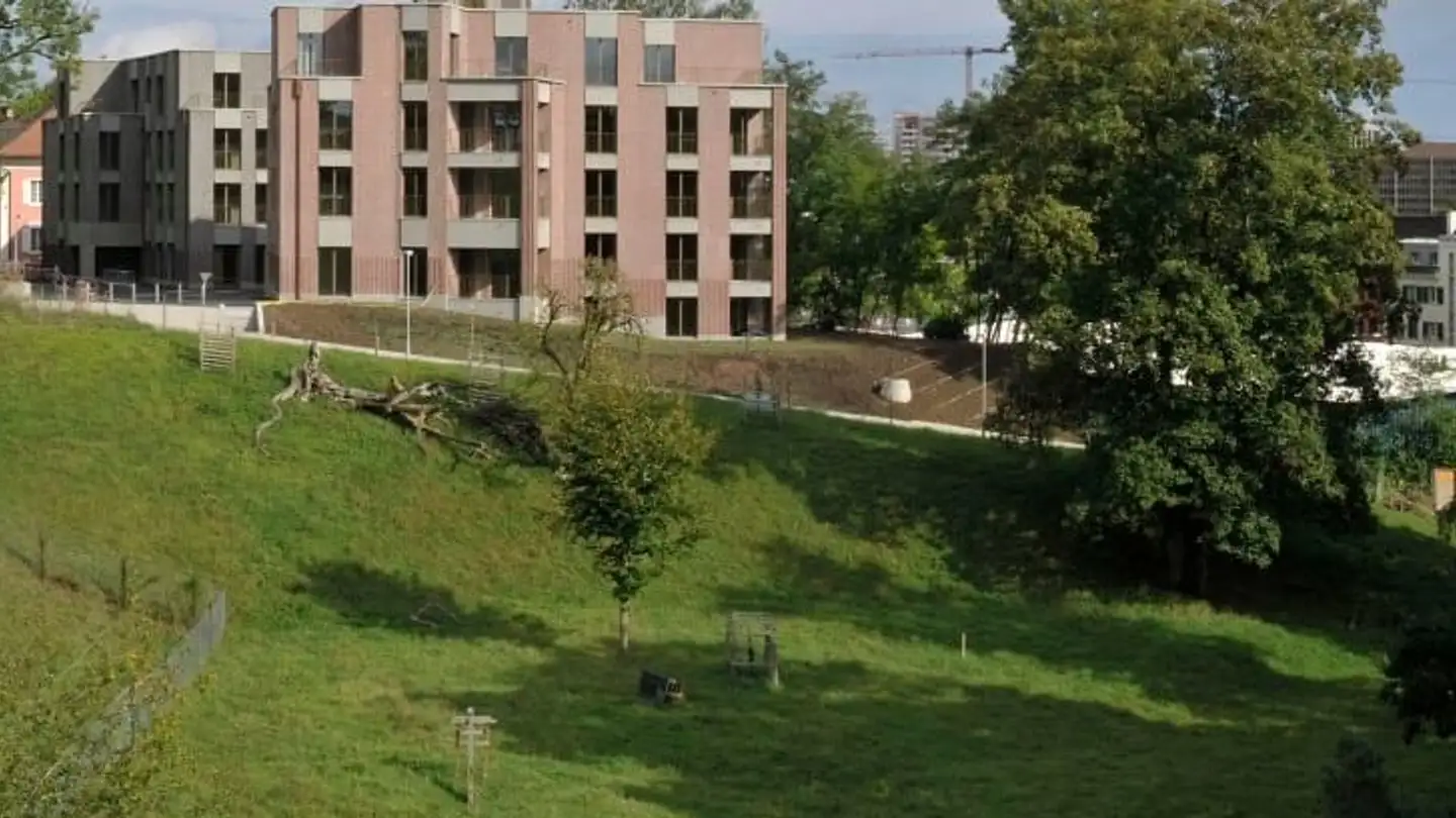 Appartamento in affitto - Bahnhaldenstrasse 29, 8052 Zürich