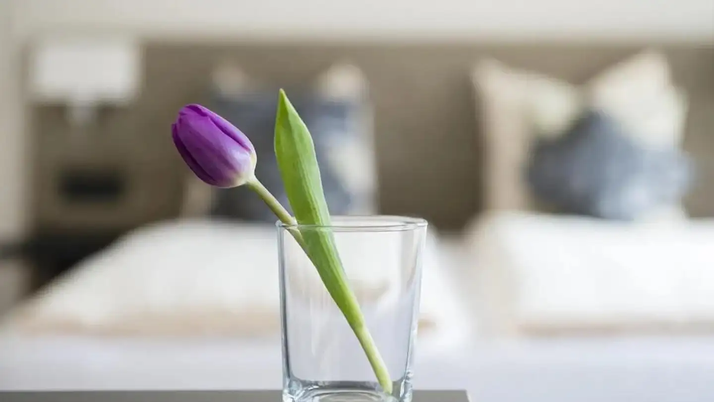 Wohnung mieten - 8005 Zürich - Foto 3