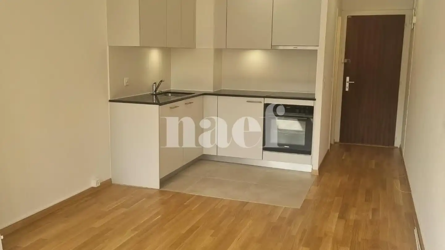 Studio for rent - Rue De Lyon 10, 1201 Genève - Photo 3