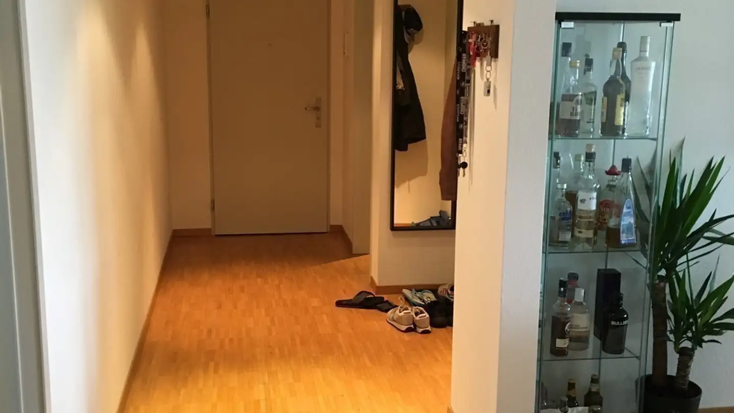 Single room for rent - Lenggstrasse 67, 8008 Zürich - Photo 2