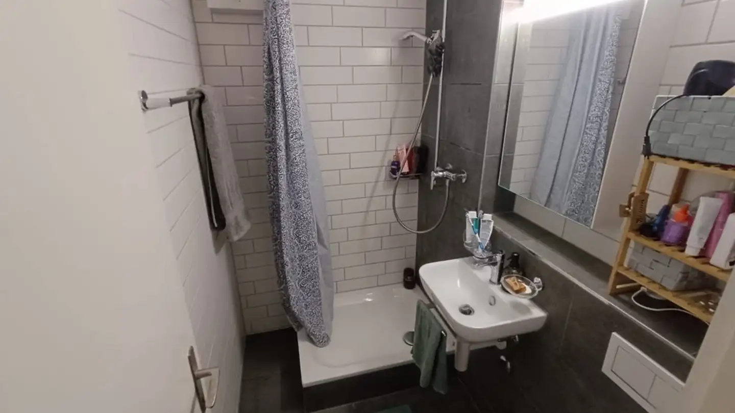 Appartamento in affitto - Watterstrasse 151, 8105 Regensdorf - Foto 4