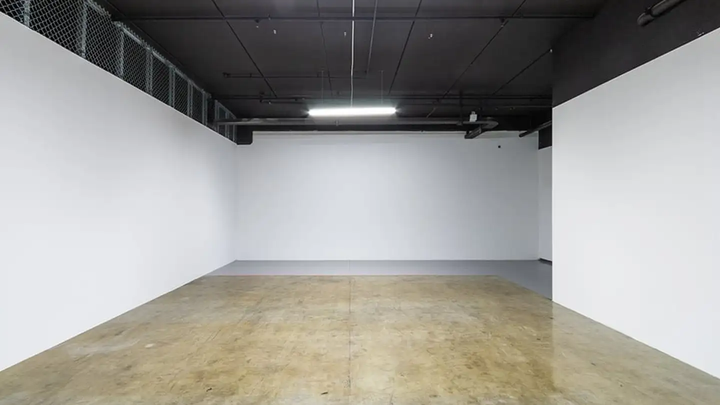 Proprietà industriale in affitto - Via Cantonale 4, 6928 Manno - Photo 2