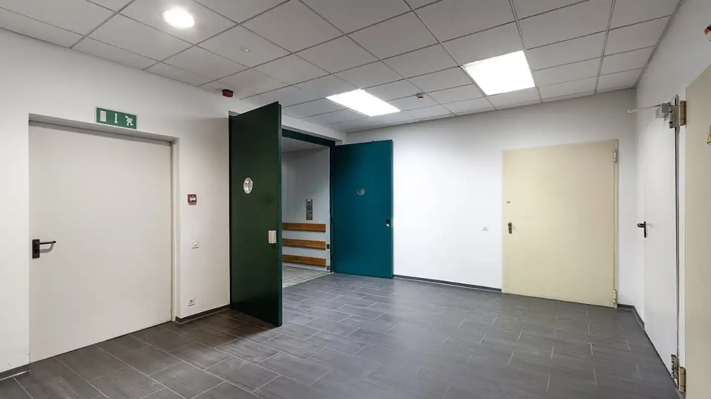 Proprietà industriale in affitto - Via Cantonale 4, 6928 Manno - Photo 4