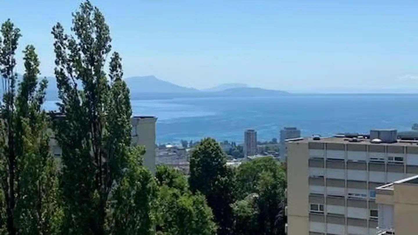 Appartamento in affitto - Chemin Guillaume-De-Pierrefleur 13, 1004 Lausanne
