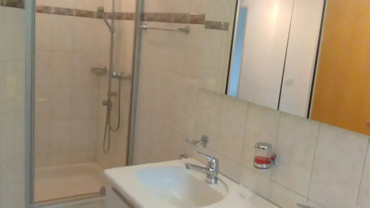 Appartement en terrasse à louer - Haldenstrasse 6, 9552 Bronschhofen - Photo 4