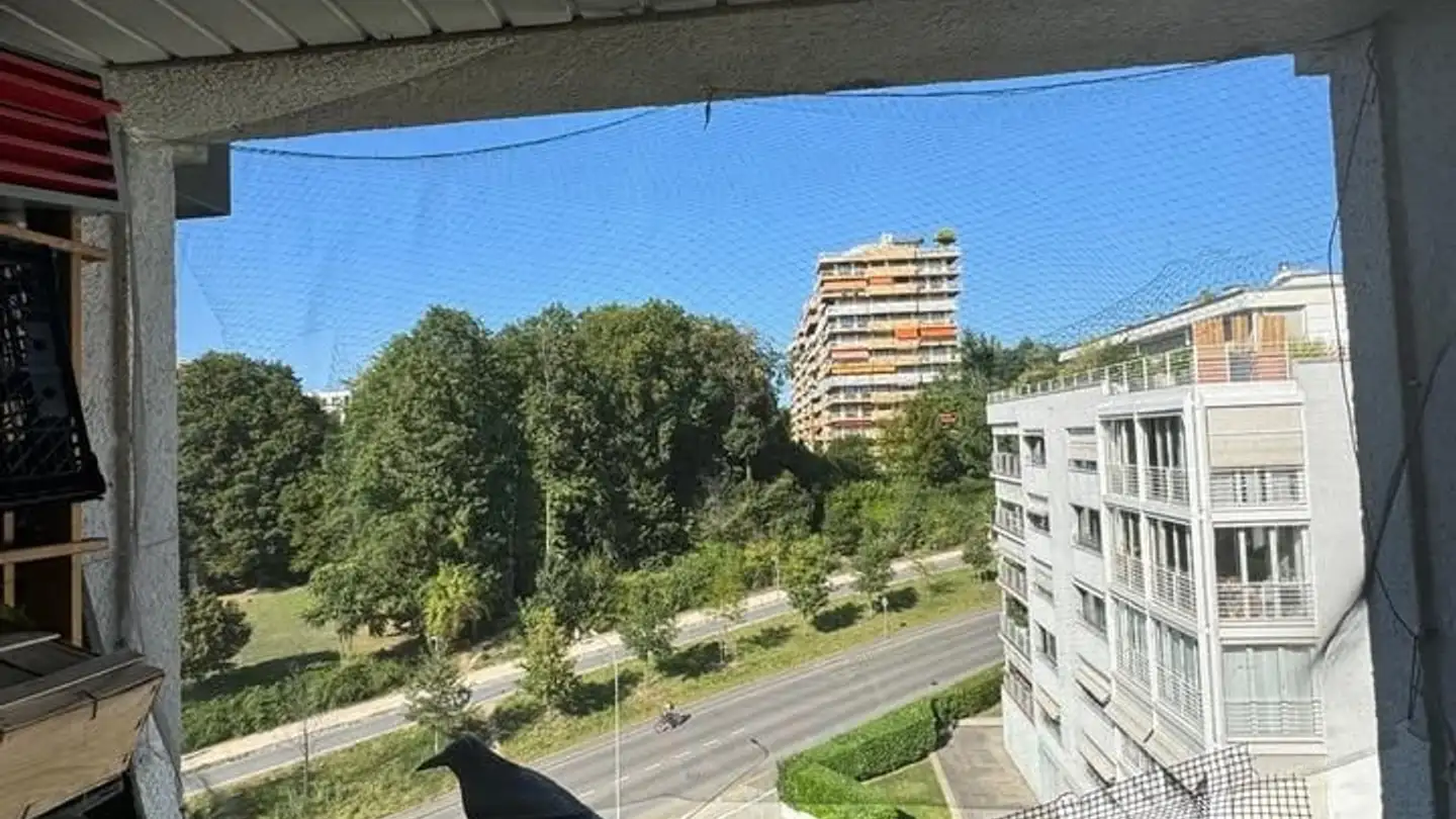 Chambre à louer - 1208 Genève - Photo 3