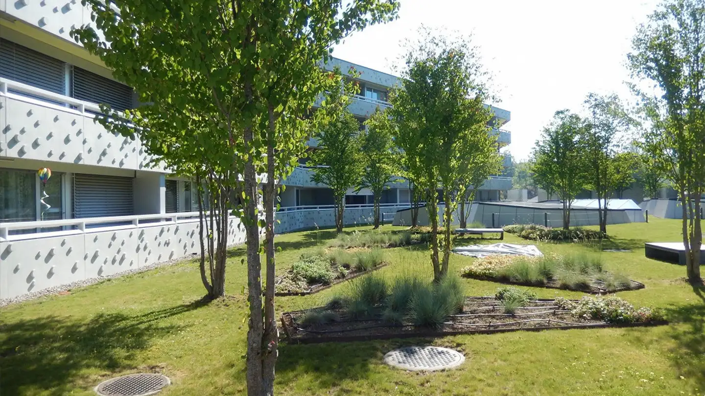 Wohnung mieten - Seuzacherstrasse 11a, 8400 Winterthur - Foto 2