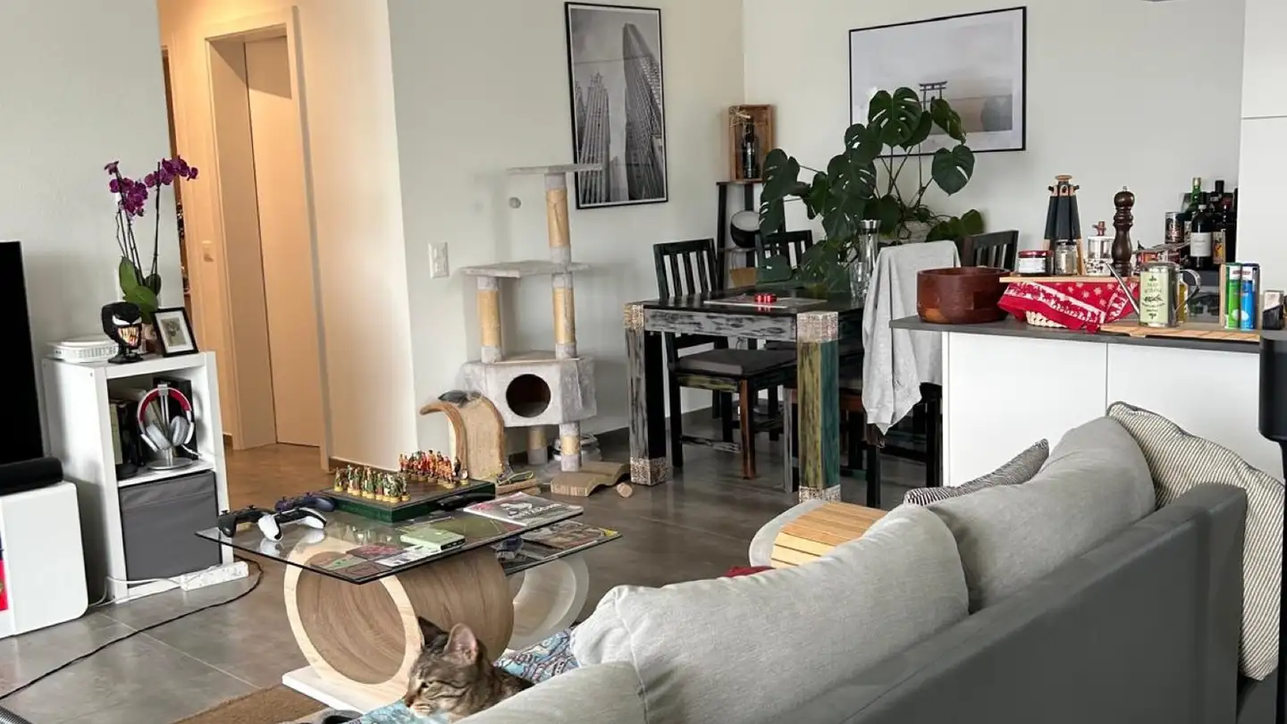 Wohnung mieten - Via Domenico Fontana 6, 6500 Bellinzona