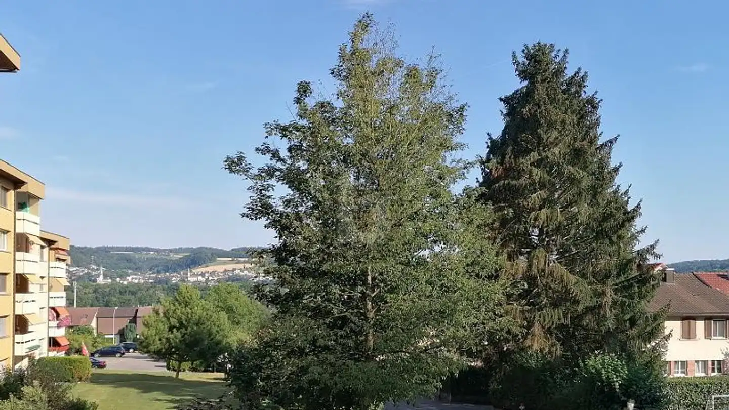 Appartamento a gradini in affitto - 5200 Brugg AG - Foto 4