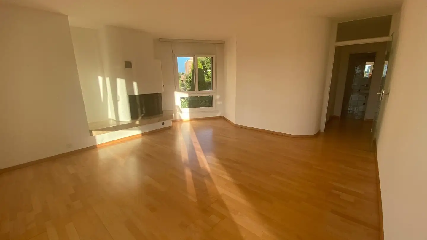 Appartamento in affitto - Frohburgstrasse 325, 8057 Zürich