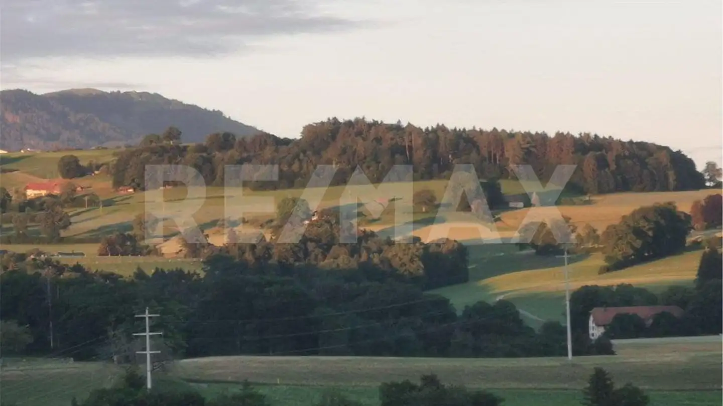 Bauernhof kaufen - 1715 Alterswil FR - Foto 2