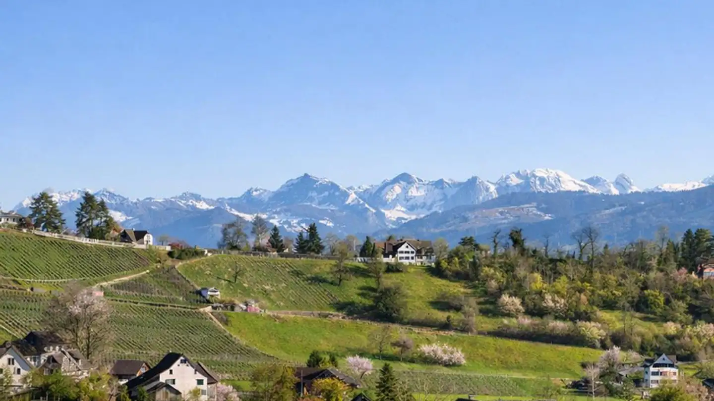 Attique à vendre - 8708 Männedorf - Photo 4