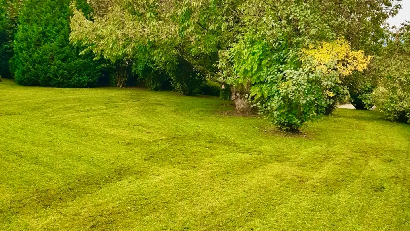 Casa singola in vendita - 2063 Fenin - Photo 4