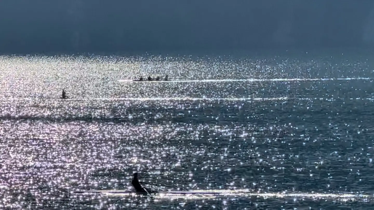 Appartement à louer - 6900 Lugano