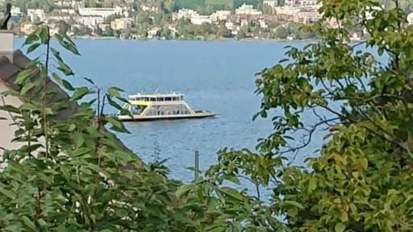 Wohnung mieten - Glärnischstrasse 49, 8810 Horgen